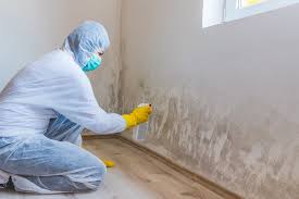 Best Forensic Mold Investigation  in Lauderdale By The Sea, FL