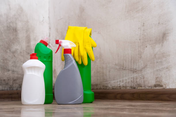 Best Biohazard Mold Removal  in Lauderdale By The Sea, FL